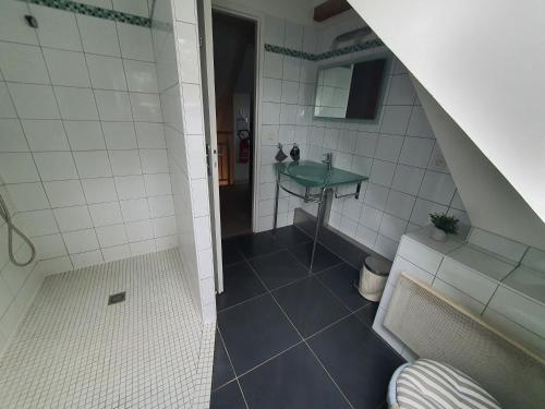 Cossé-le-VivienLa Maison de Julise的一间带水槽和淋浴的小浴室