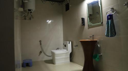 斋浦尔Elefantastic的浴室设有卫生间和带镜子的淋浴