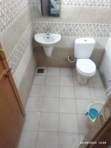 钦奈Surya's Guest House的一间带卫生间和水槽的小浴室
