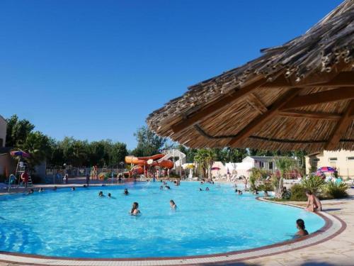 塞里尼昂Super mobil-home aux Sables du Midi的一群人在度假村的游泳池里