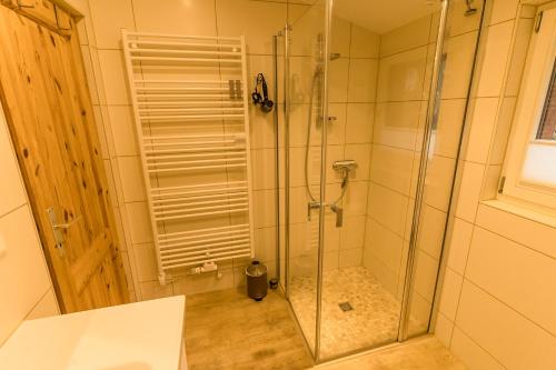 吕本瑙Spreewald Fewo direkt am Wasser的浴室里设有玻璃门淋浴