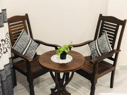 Babarenda CentralIBEEZA MOTEL的两把椅子和一张桌子,上面有植物