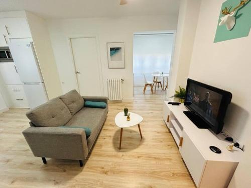 阿尔巴塞特Nórdico -Apartamentos Birdie-的带沙发和平面电视的客厅