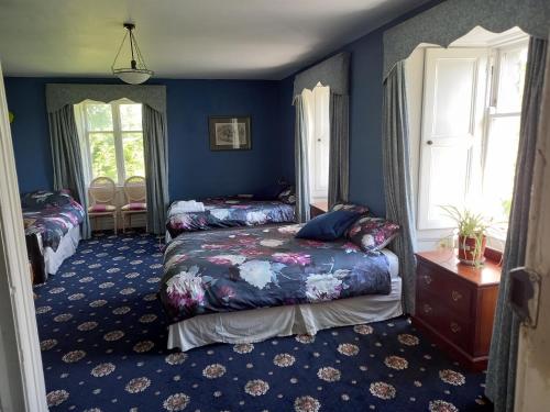 戈尔韦Cregg Castle的一间卧室设有两张床,拥有蓝色的墙壁。