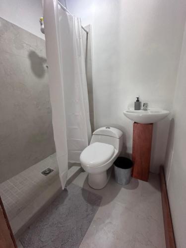Agua AzulHotel Princess Inn的白色的浴室设有卫生间和水槽。