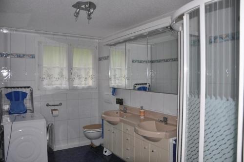 ArthFerienwohnung Sagenmattli的一间带卫生间和水槽的浴室