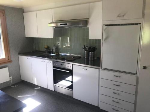 阿彭策尔Soldanella的厨房配有白色橱柜和不锈钢冰箱