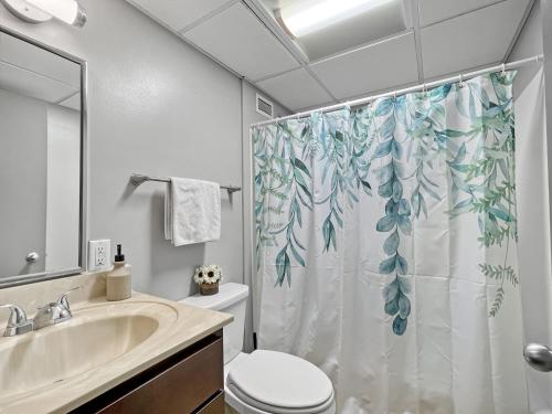 德梅因Downtown 1br Gem Steps Away From Wells Fargo的浴室设有淋浴帘、卫生间和水槽