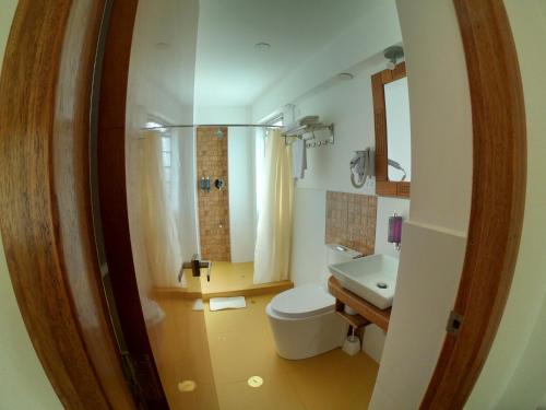 瓦拉斯Akilpo Home的一间带卫生间、水槽和镜子的浴室