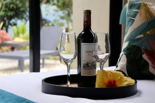 拉维加Luxury Glamping - Tiny House al natural的桌子上放有一瓶葡萄酒和两杯酒