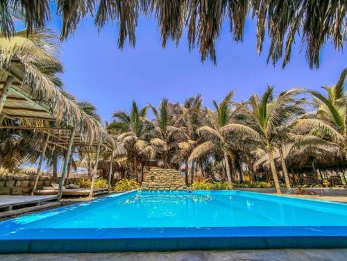 曼克拉La Nómada Digital - Máncora Playa & Piscina的一座种植了棕榈树的蓝色游泳池