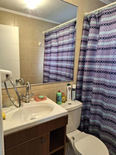 拉塞雷纳Hospedaje casa Arrayan的浴室配有水槽、卫生间和浴帘