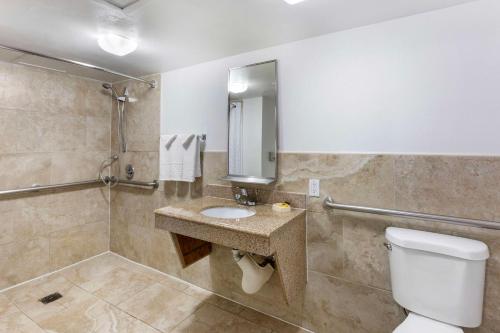埃尔帕索埃尔帕索机场及会议中心贝斯特韦斯特PLUS酒店的一间带卫生间和水槽的浴室