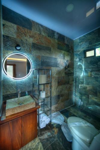 福尔图纳Conejo's Loft, River View, Full privacy and nature的一间带水槽、卫生间和镜子的浴室