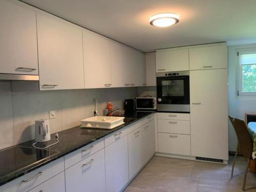 菲茨瑙Thal - b48769的厨房配有白色橱柜、水槽和微波炉