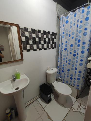奇廉Alojamiento chillan的一间带卫生间和水槽的浴室