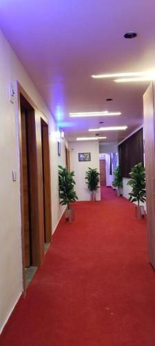 甘地讷格尔Hotel Royal Relax的走廊上铺有红地毯,种植了盆栽植物