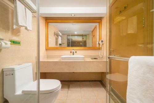 武汉维也纳酒店武汉解放大道店的一间带卫生间、水槽和镜子的浴室