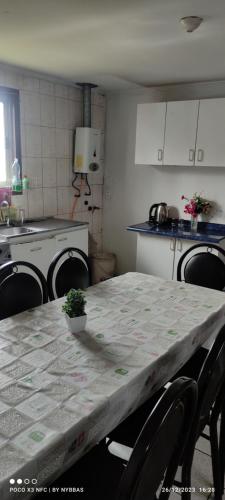 瓦尔帕莱索MarAzul的厨房里摆放着盆栽植物的桌子
