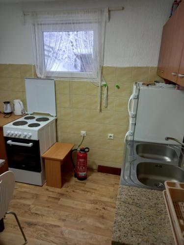 阿然德洛维克Planinska kuca Steki Bukulja的厨房配有炉灶、水槽和窗户。