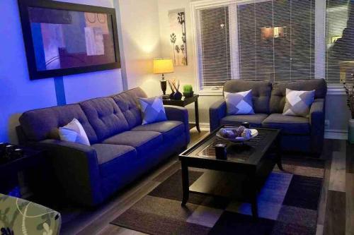 圣约翰斯Maple Blue的带沙发和咖啡桌的客厅