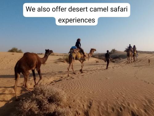 斋沙默尔Hotel Pol Haveli Jaisalmer的一群人在沙漠骑骆驼