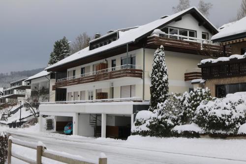 温特贝格Ferienwohnung Südhang的雪覆盖的房子,有雪覆盖的院子