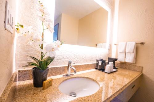 奥兰多Mai Hana Hotel的浴室设有水槽和花瓶