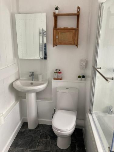 斯特明斯特牛顿Nutshell的白色的浴室设有卫生间和水槽。