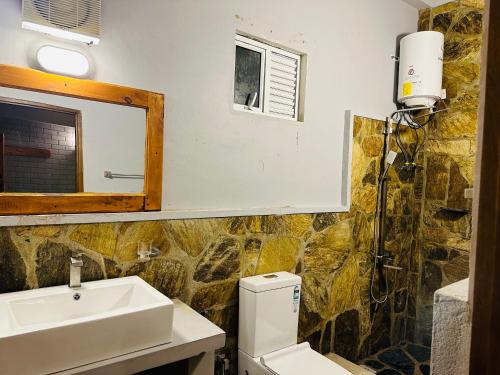 努沃勒埃利耶Cabin 7000 feet Nuwaraeliya的一间带水槽、卫生间和镜子的浴室