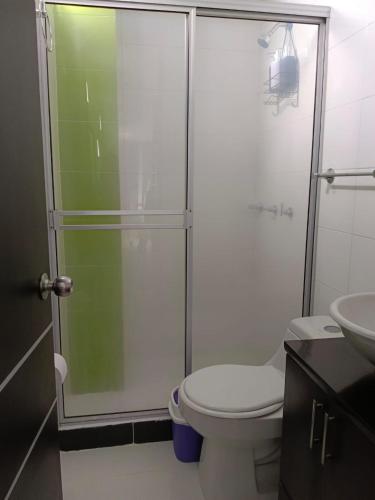 亚美尼亚Apartaestudio Norte Axm的带淋浴、卫生间和盥洗盆的浴室