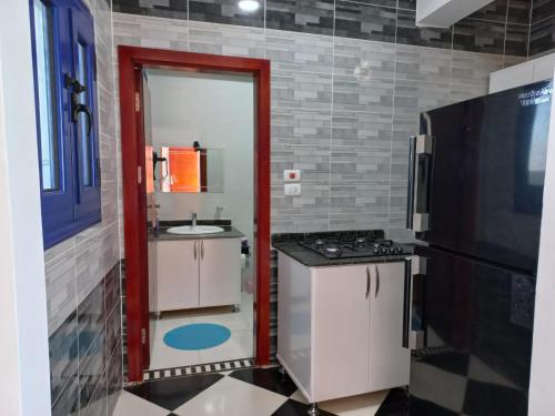 卢克索卡斯兰别墅公寓的一间带水槽和炉灶的小厨房