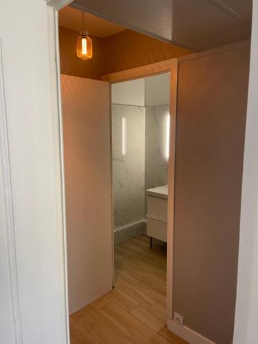 格勒诺布尔magnifique Duplex avec 2 chambres et parking gratuit的一个空房间,有衣柜和镜子