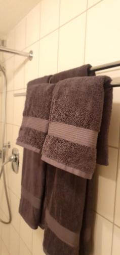 韦因加尔滕Stube 21的浴室毛巾架上悬挂的一组毛巾