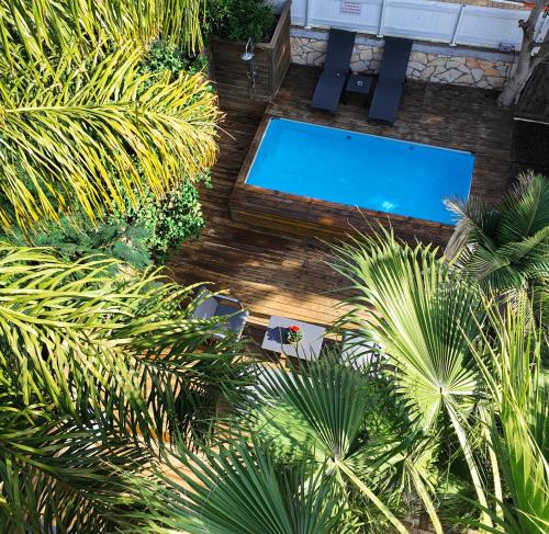 特拉维夫Rosen Villa at Ramat Hahayal的享有游泳池和棕榈树的上方景色