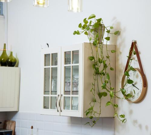特拉维夫Rosen Villa at Ramat Hahayal的一间厨房,配有白色的橱柜和植物