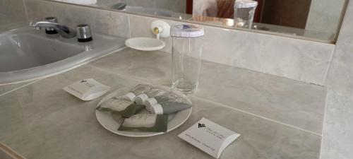 塔里哈Hotel Viña del Sur的浴室设有水槽和柜台上的玻璃板