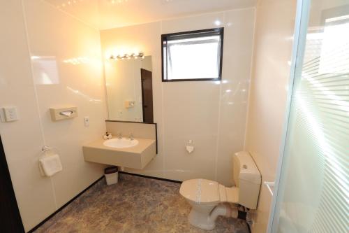 但尼丁阿尔卡拉汽车旅馆 的一间带水槽、卫生间和镜子的浴室
