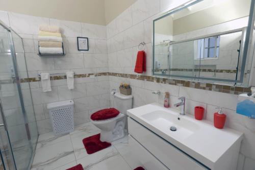 金斯敦Spacious Luxury 3 Bed Rooms in Kingston的一间带卫生间、水槽和镜子的浴室
