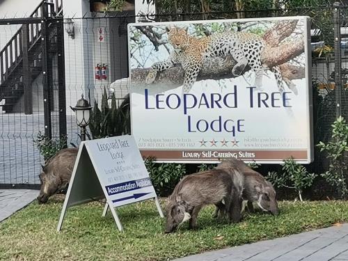 圣卢西亚Leopard Tree Lodge的三头猪在豹树小屋旁的标志旁放牧
