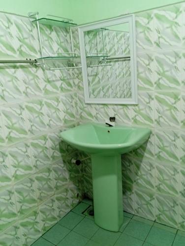 贾夫纳Nallur Mylooran Arangam的一间带绿色水槽和镜子的浴室