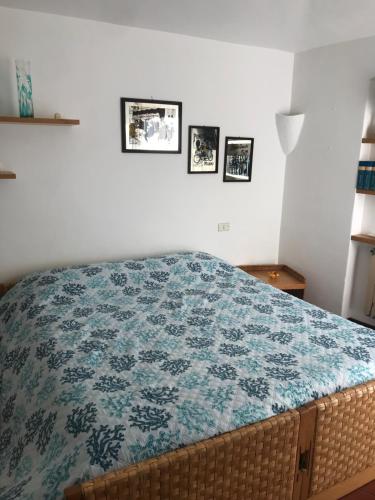 巴哈撒丁岛Villa Molara的一间卧室配有一张带蓝色毯子的床