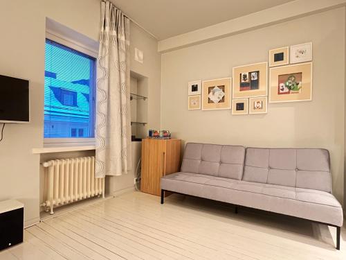赫尔辛基Central Helsinki Punavuori 40m2 entire flat的带沙发和窗户的客厅