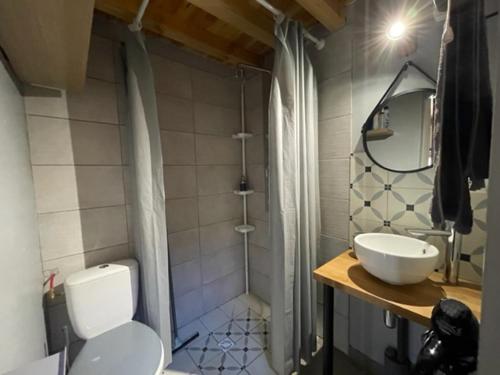 Saint-Ouen-sous-BaillyLa maison du bonheur "Le petit Four"的浴室配有卫生间、盥洗盆和淋浴。