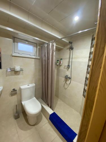祖格迪迪Nagi House的一间带卫生间和淋浴的浴室