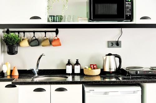 伊斯坦布尔TAKS-INN Suites的厨房柜台设有水槽和微波炉