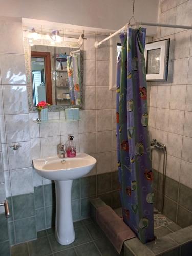 斯卡拉Agistri SOPHIA'S APARTMENT的一间带水槽和淋浴的浴室