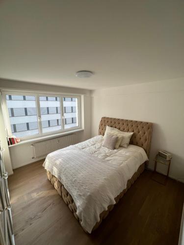 巴塞尔Best located & fully equipped apartment at Basel SBB main station的卧室内的一张床铺,设有大窗户