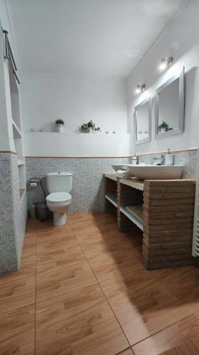 蒙特哈克Las Lajas, Casa Rural的一间带卫生间和水槽的浴室