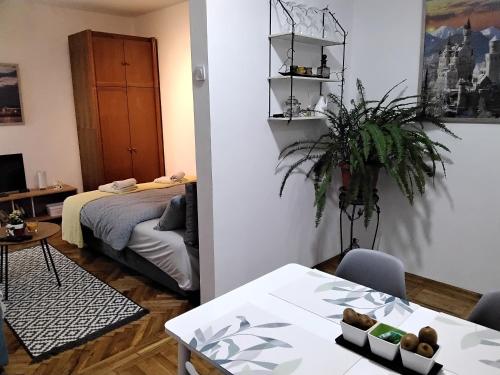 莱斯科瓦茨Fina Apartment的一间带床和桌子的客厅和一间房间
